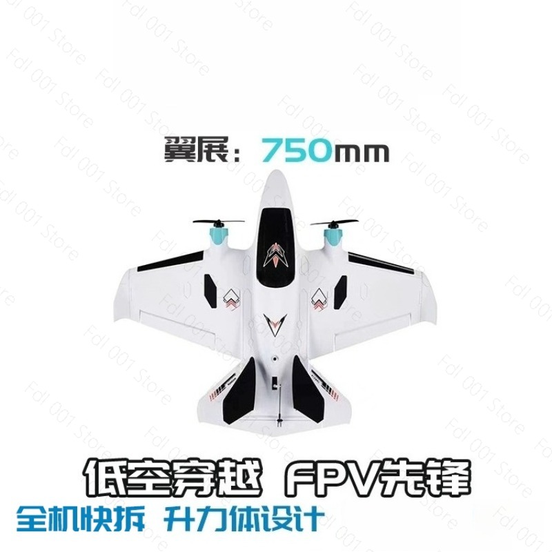 Dual-Motor FPV RC-Flugzeug mit – Drone Rc Airplane Bewertung und Preis